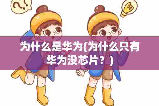 为什么是华为(为什么只有华为没芯片？)