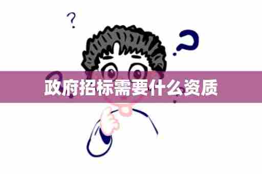 政府招标需要什么资质