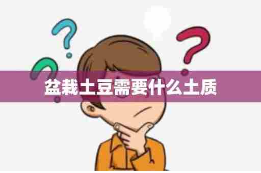 盆栽土豆需要什么土质