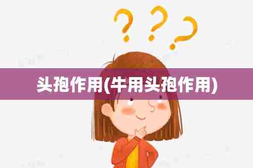 头孢作用(牛用头孢作用)
