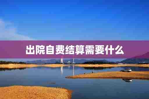 出院自费结算需要什么