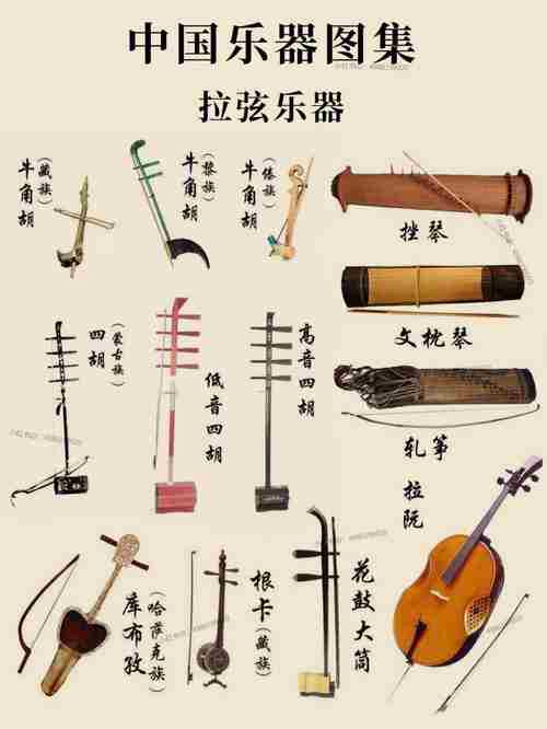 下列乐器属于民族乐器的是(下列乐器属于民族乐器的是哪一项)