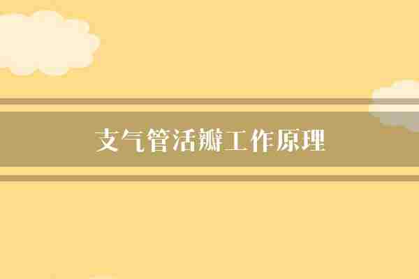 支气管活瓣工作原理(支气管患者导管)