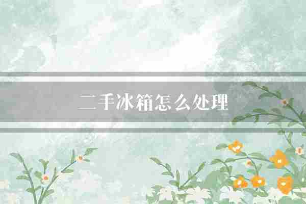 二手冰箱怎么处理(冰箱清洁消毒液)