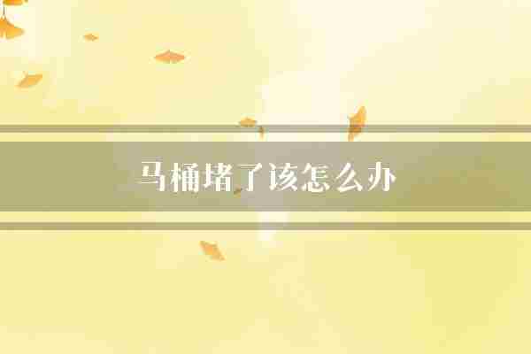 马桶堵了该怎么办(马桶水位专业技术人员)