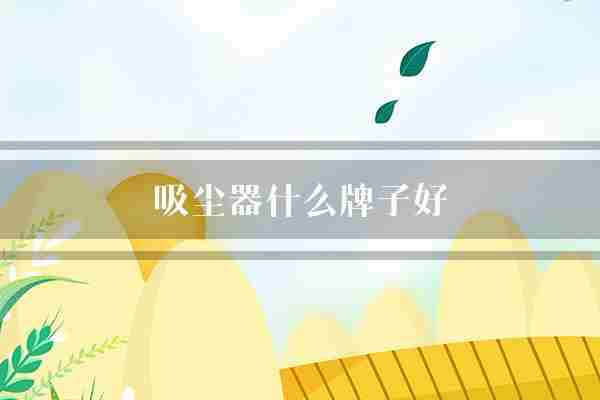 吸尘器什么牌子好(吸尘器长虹消费者)