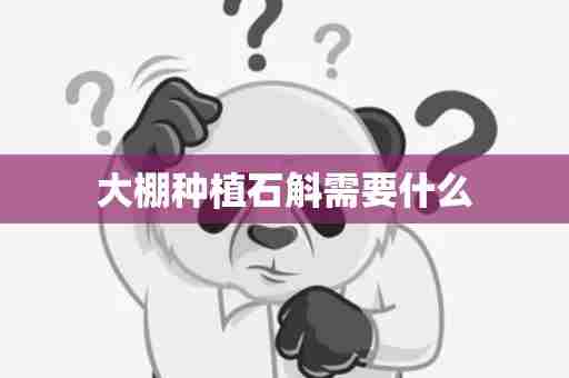 大棚种植石斛需要什么