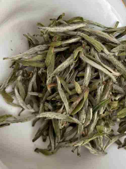 白茶怎么选择好坏(白茶如何选)