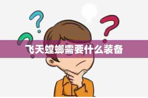 飞天螳螂需要什么装备