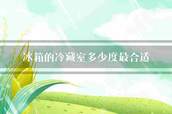 冰箱的冷藏室多少度最合适(食物温度冷藏室)