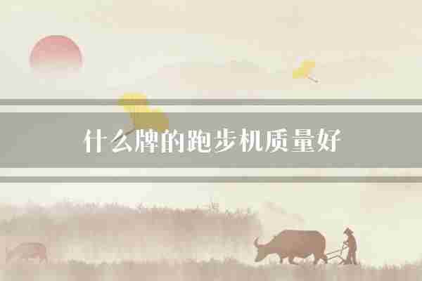 什么牌的跑步机质量好(跑步机质量美元)