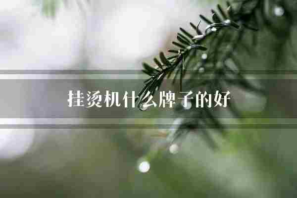 挂烫机什么牌子的好(飞利浦松下牌子)