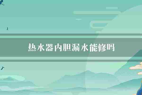 热水器内胆漏水能修吗(热水器内胆技术人员)