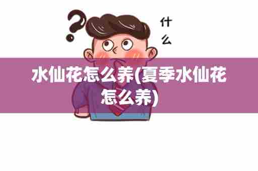 水仙花怎么养(夏季水仙花怎么养)
