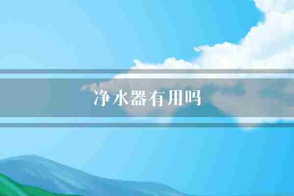 净水器有用吗(净水器它可以饮用水)