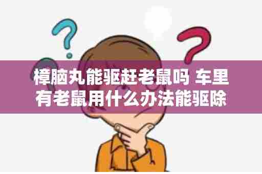 樟脑丸能驱赶老鼠吗 车里有老鼠用什么办法能驱除
