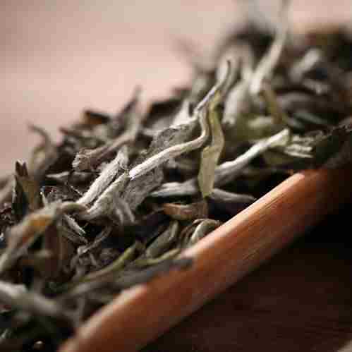 贡眉白茶是什么茶(我想卖茶叶哪里进货)