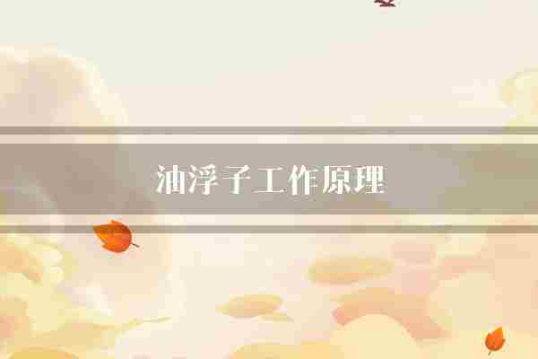 油浮子工作原理(浮子液体信号)