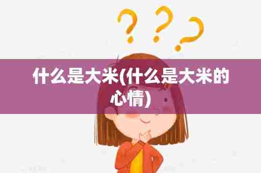 什么是大米(什么是大米的心情)