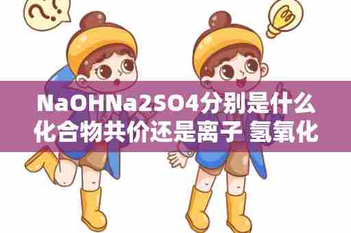 NaOHNa2SO4分别是什么化合物共价还是离子 氢氧化合物是什么
