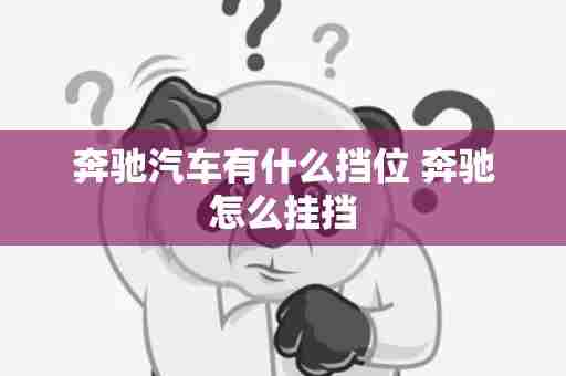 奔驰汽车有什么挡位 奔驰怎么挂挡