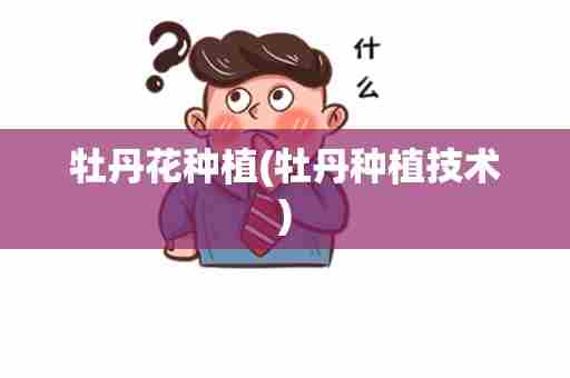 牡丹花种植(牡丹种植技术)