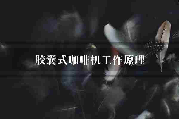 胶囊式咖啡机工作原理(胶囊咖啡机咖啡)