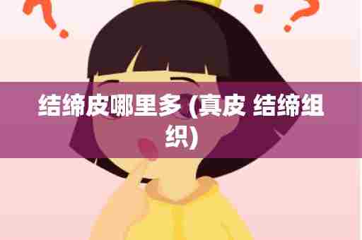 结缔皮哪里多 (真皮 结缔组织)