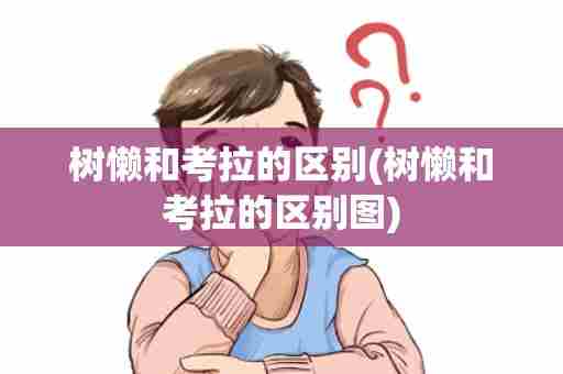树懒和考拉的区别(树懒和考拉的区别图)