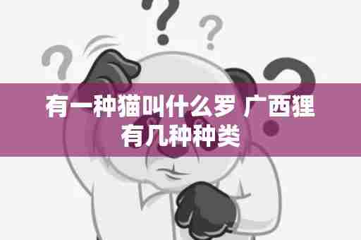 有一种猫叫什么罗 广西狸有几种种类