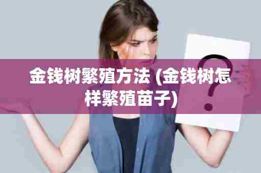 金钱树繁殖方法 (金钱树怎样繁殖苗子)