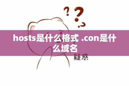 hosts是什么格式 .con是什么域名