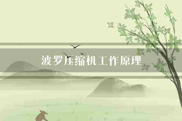 波罗压缩机工作原理(波罗气体压缩机)