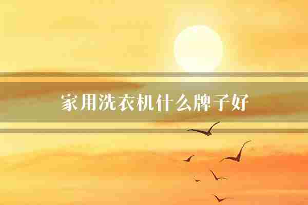 家用洗衣机什么牌子好(洗衣机家电它的)