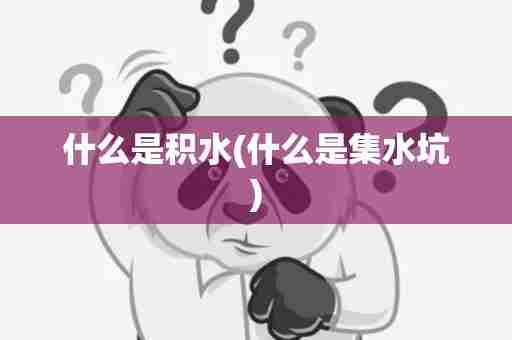 什么是积水(什么是集水坑)