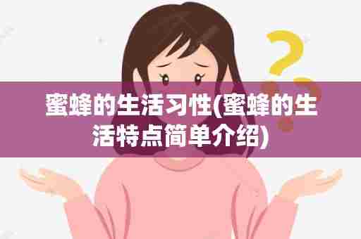 蜜蜂的生活习性(蜜蜂的生活特点简单介绍)