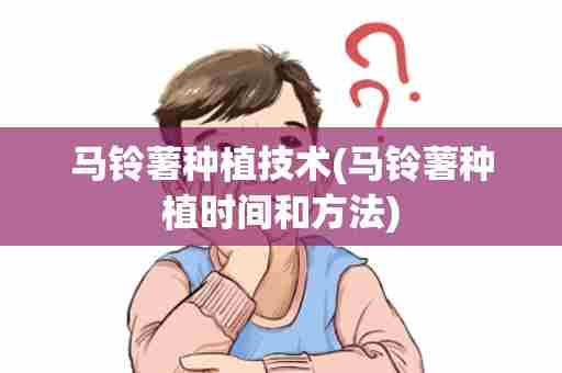 马铃薯种植技术(马铃薯种植时间和方法)
