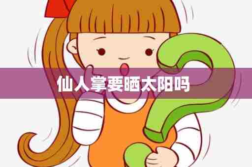 仙人掌要晒太阳吗 