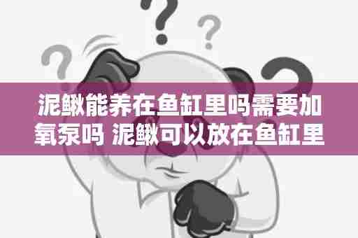 泥鳅能养在鱼缸里吗需要加氧泵吗 泥鳅可以放在鱼缸里养吗