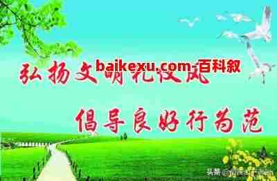 什么是礼仪(什么是礼仪?礼仪包括哪些内容?)