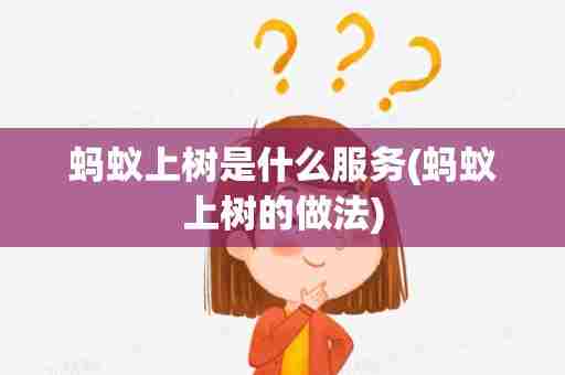 蚂蚁上树是什么服务(蚂蚁上树的做法)