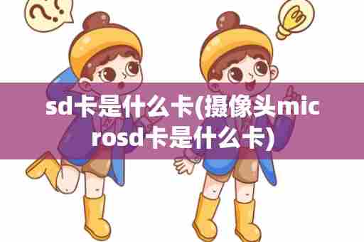sd卡是什么卡(摄像头microsd卡是什么卡)