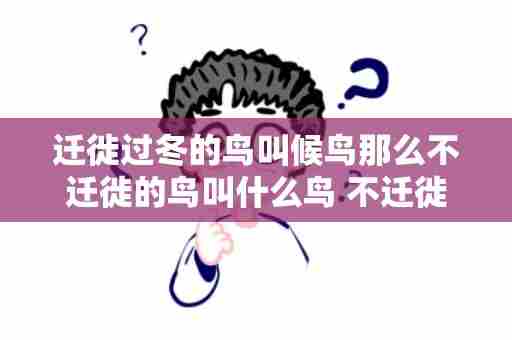 迁徙过冬的鸟叫候鸟那么不迁徙的鸟叫什么鸟 不迁徙的鸟叫作什么