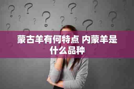 蒙古羊有何特点 内蒙羊是什么品种