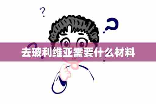 去玻利维亚需要什么材料