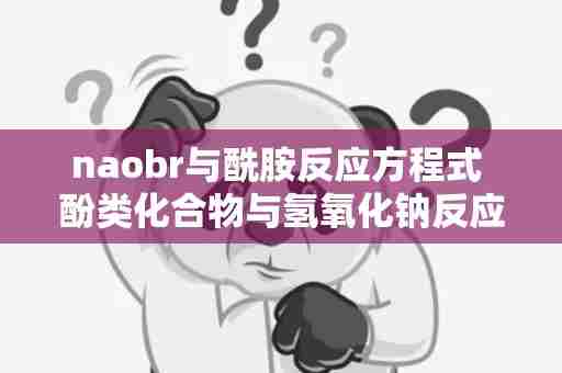 naobr与酰胺反应方程式 酚类化合物与氢氧化钠反应氢氧化钠的最大用量