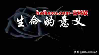 是为什么死(士为什么死?)