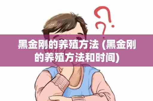 黑金刚的养殖方法 (黑金刚的养殖方法和时间)