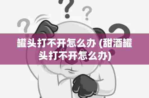 罐头打不开怎么办 (甜酒罐头打不开怎么办)