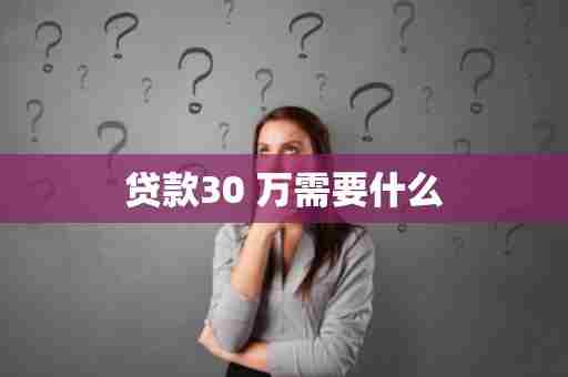 贷款30 万需要什么